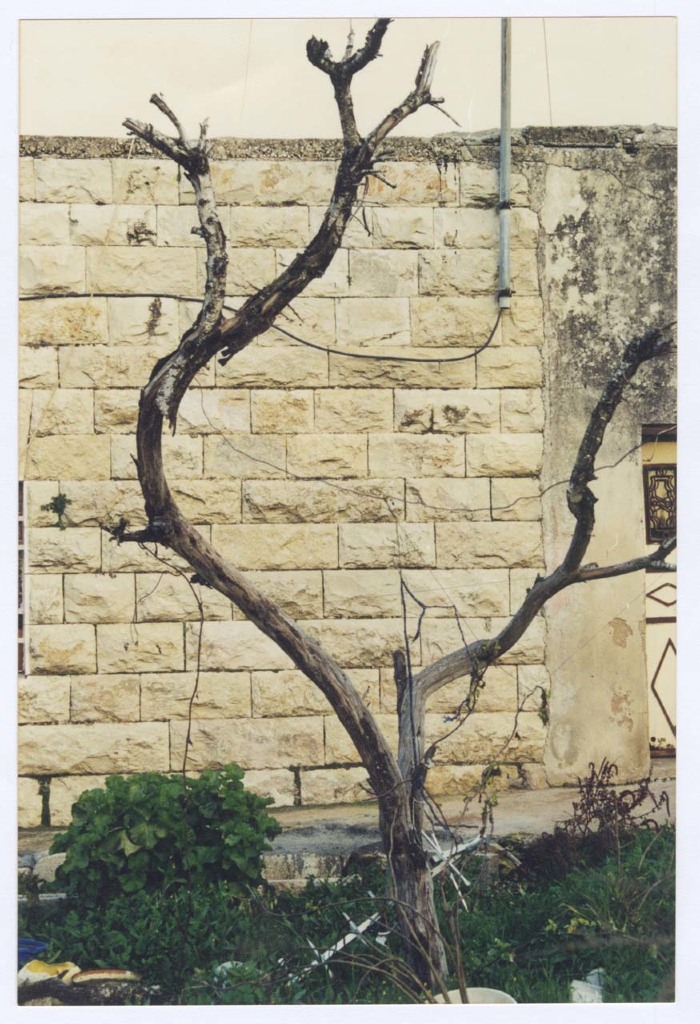 A Photograph of an Old House in Kubar, Ramallah 