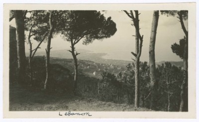 A Landscape of a Coastline in Beirut