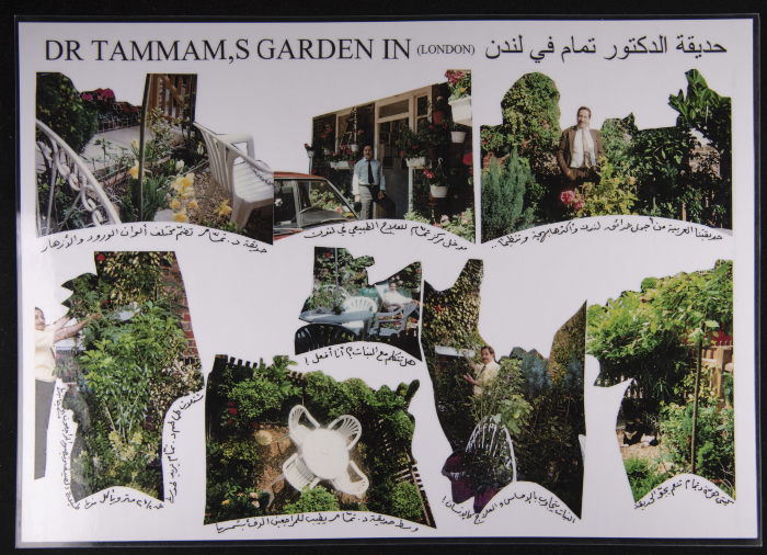 A Collection of Photographs from Badawy at-Tammam's Garden in London 