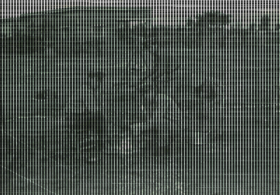 صورة من مخيم كشفي تابع لسرية رام الله الأولى