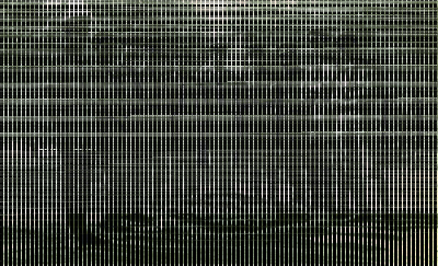 Members of Sareyyet Ramallah-First Ramallah Scout Group