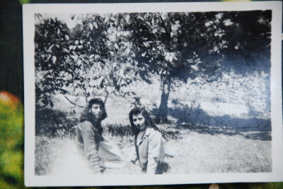 A Photograph of a Sareyyet Ramallah Scout Camp
