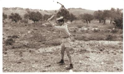 A Photograph of a Sareyyet Ramallah Scout Camp
