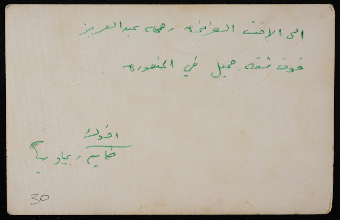 A Photograph of Tayeʿ ar-Rimawy and His Friend, Jamil ar-Rimawy, Egypt 