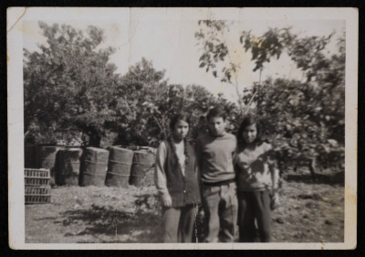 A Photograph of Tayeʿ ar-Rimawy and His Sisters in Beit Rima Village 
