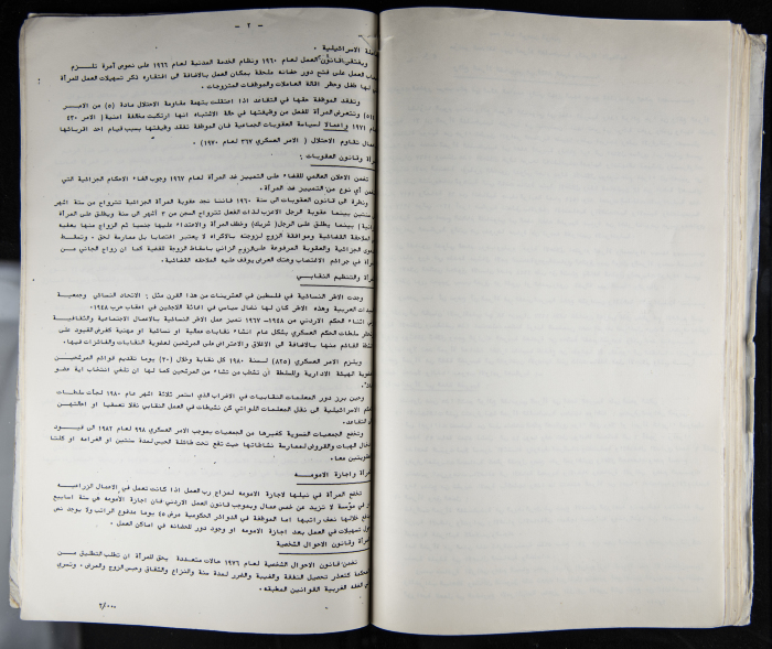The Women's Conference on the Palestinian - Italian Relationship, 1988 