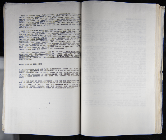 The Women's Conference on the Palestinian - Italian Relationship, 1988 
