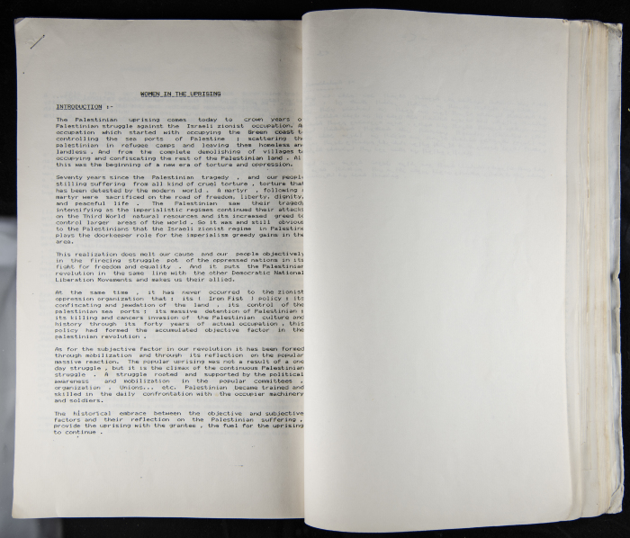 The Women's Conference on the Palestinian - Italian Relationship, 1988 