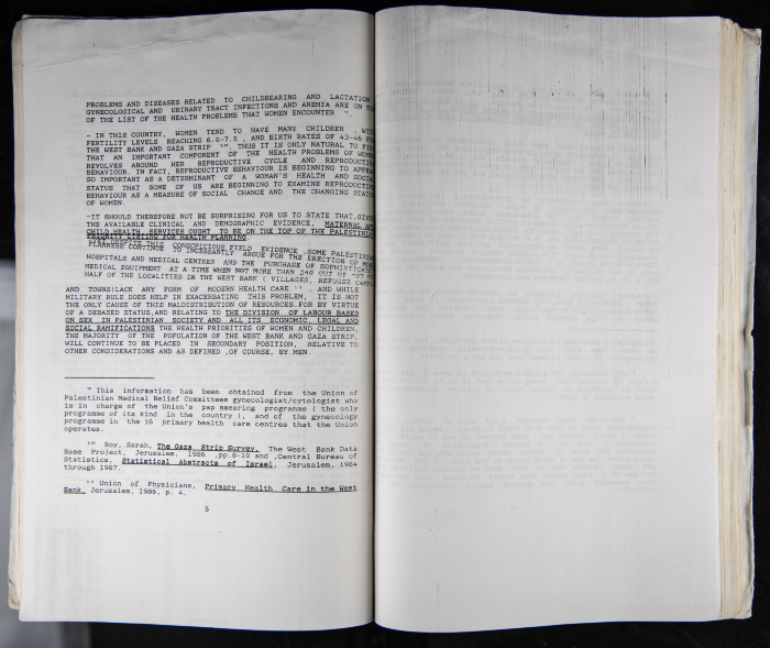 The Women's Conference on the Palestinian - Italian Relationship, 1988 