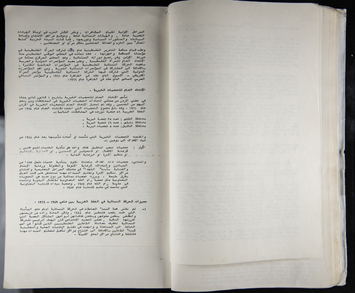 The Women's Conference on the Palestinian - Italian Relationship, 1988 