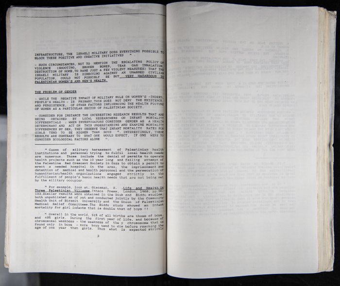 The Women's Conference on the Palestinian - Italian Relationship, 1988 