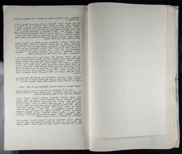The Women's Conference on the Palestinian - Italian Relationship, 1988 