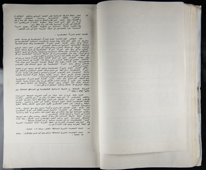 The Women's Conference on the Palestinian - Italian Relationship, 1988 