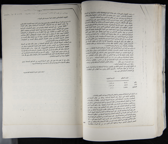 The Women's Conference on the Palestinian - Italian Relationship, 1988 