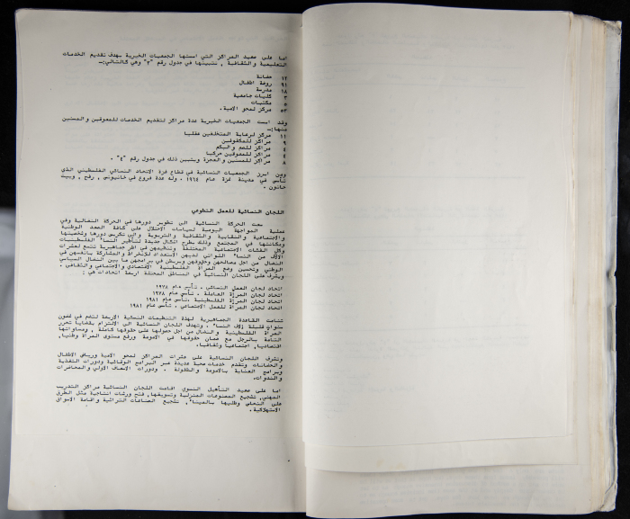 The Women's Conference on the Palestinian - Italian Relationship, 1988 
