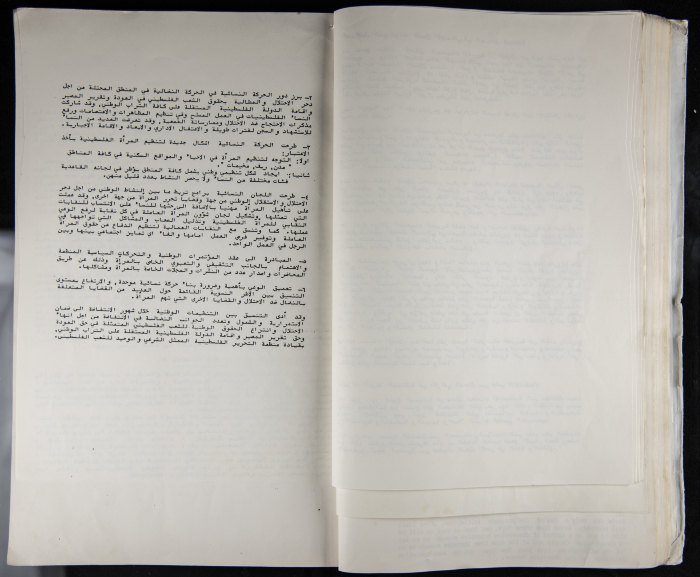 The Women's Conference on the Palestinian - Italian Relationship, 1988 