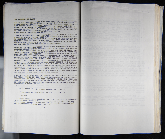 The Women's Conference on the Palestinian - Italian Relationship, 1988 
