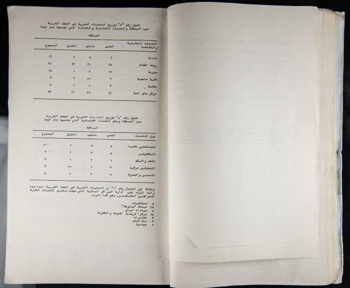 The Women's Conference on the Palestinian - Italian Relationship, 1988 