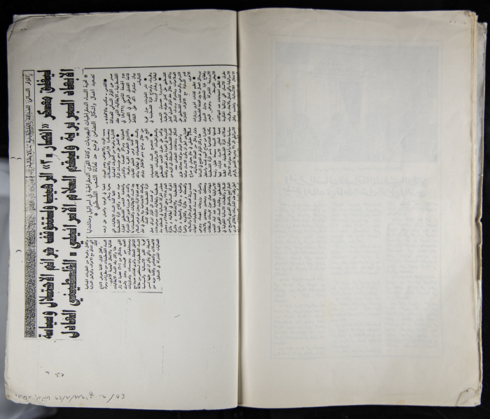 The Women's Conference on the Palestinian - Italian Relationship, 1988 