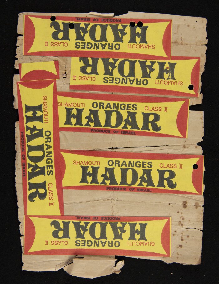 حجة بيع ذياب محمد الخليل 