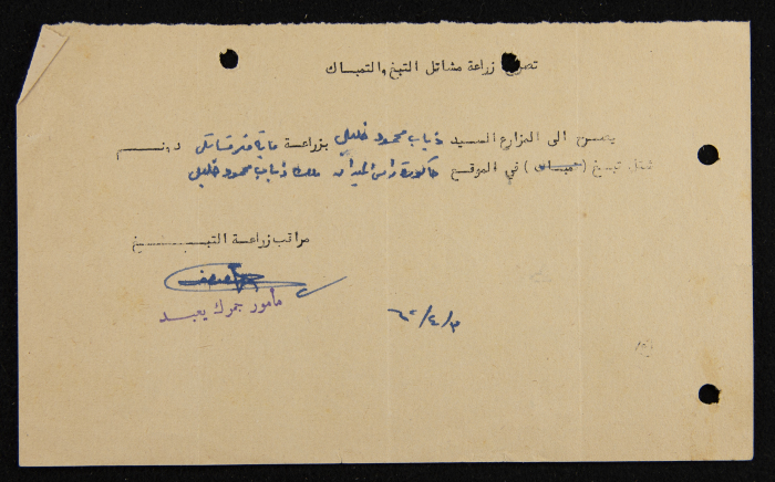 تصريح زراعة مشاتل التبغ والتمباك