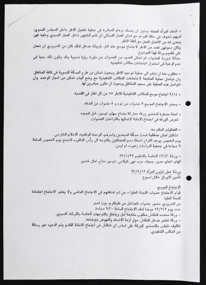 The Executive Committee of the Palestinian Federation of Women's Action Committees, Meeting Minutes, 1993