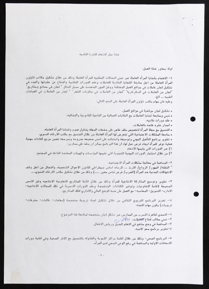 The Workplan of the Federation of Women's Action Committees 
