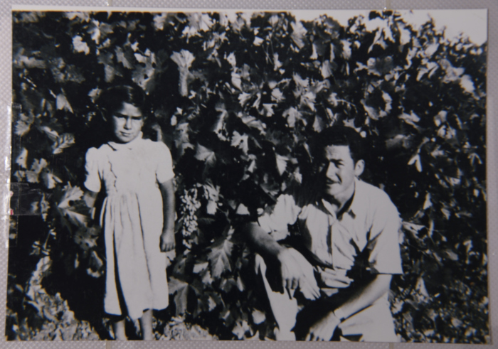The child shaheed Fathiyya Uthman of Beit Safafa, Jerusalem