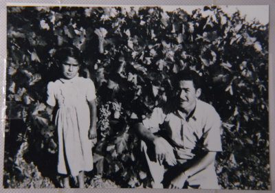 The child shaheed Fathiyya Uthman of Beit Safafa, Jerusalem