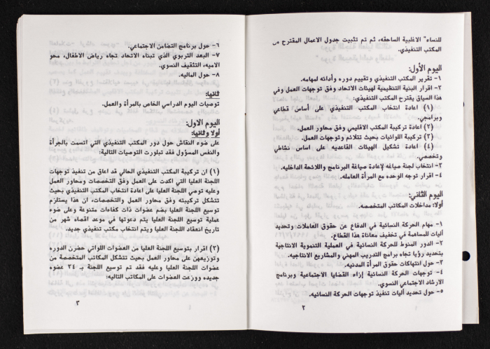 مداخلات دورة اللجنة العليا لاتحاد لجان العمل النسائي