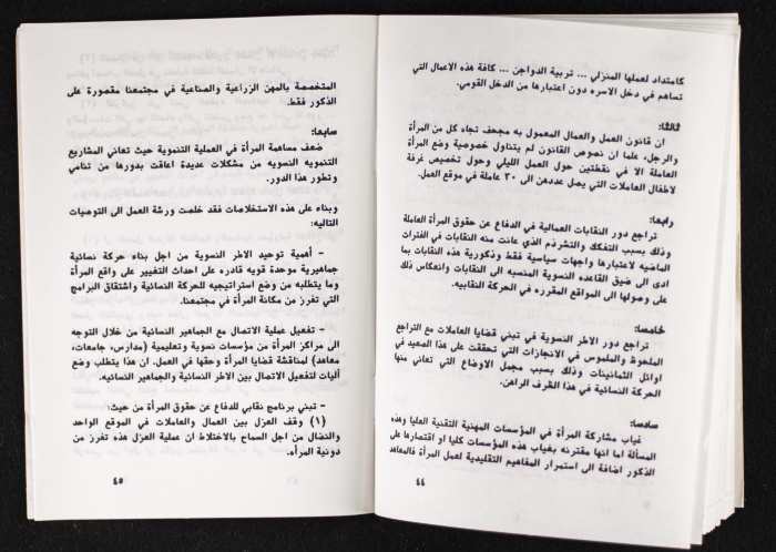 مداخلات دورة اللجنة العليا لاتحاد لجان العمل النسائي