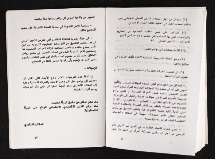 مداخلات دورة اللجنة العليا لاتحاد لجان العمل النسائي