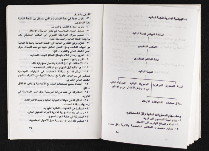 مداخلات دورة اللجنة العليا لاتحاد لجان العمل النسائي