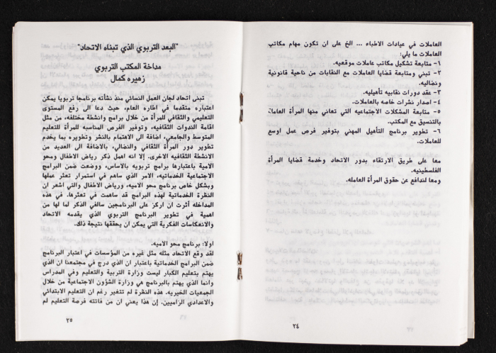 مداخلات دورة اللجنة العليا لاتحاد لجان العمل النسائي