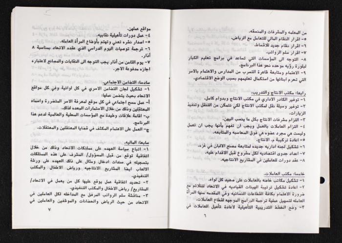 مداخلات دورة اللجنة العليا لاتحاد لجان العمل النسائي