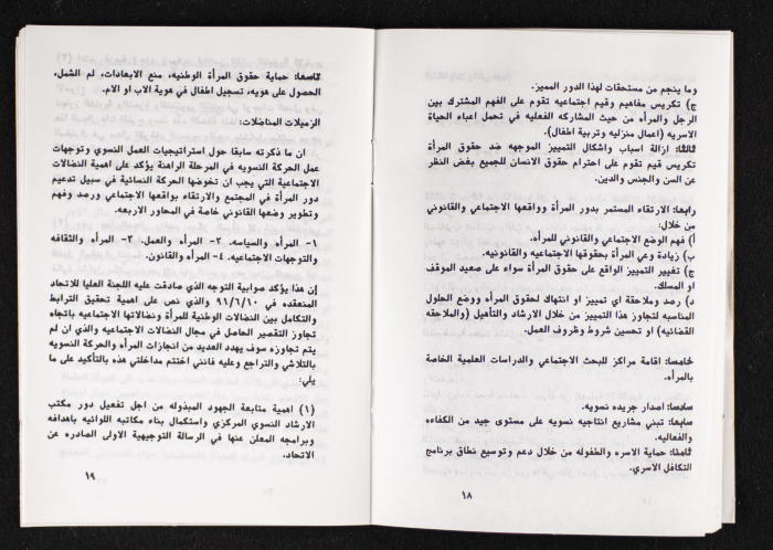 مداخلات دورة اللجنة العليا لاتحاد لجان العمل النسائي