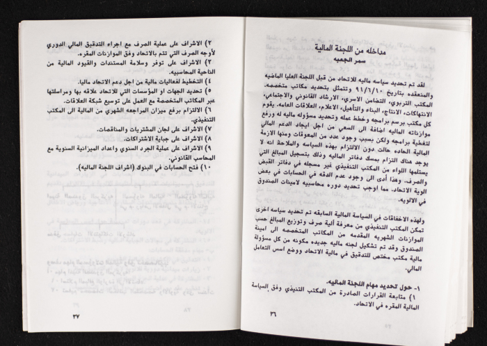 مداخلات دورة اللجنة العليا لاتحاد لجان العمل النسائي