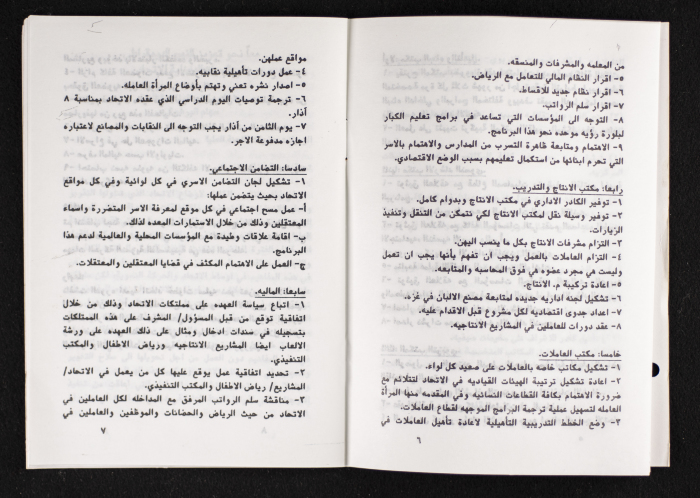 مداخلات دورة اللجنة العليا لاتحاد لجان العمل النسائي