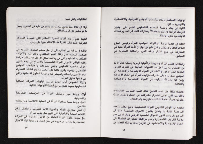 مداخلات دورة اللجنة العليا لاتحاد لجان العمل النسائي