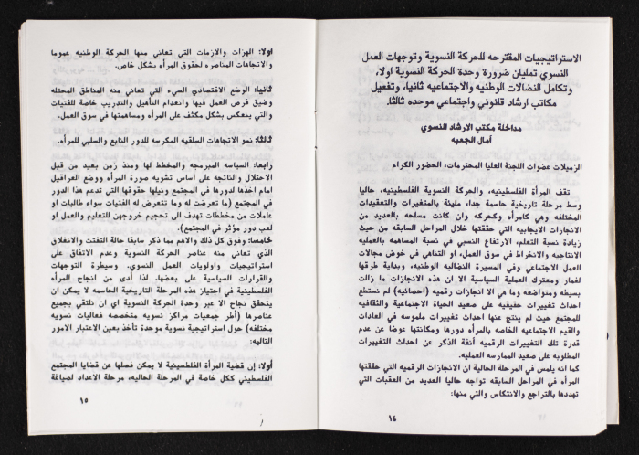 مداخلات دورة اللجنة العليا لاتحاد لجان العمل النسائي