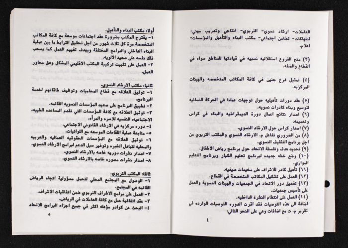 مداخلات دورة اللجنة العليا لاتحاد لجان العمل النسائي