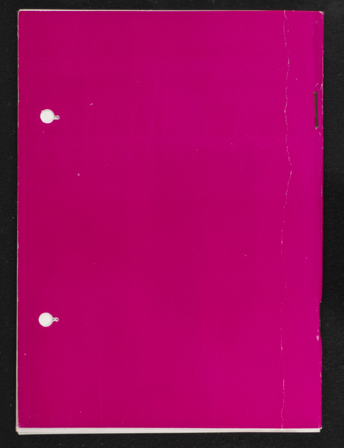 مداخلات دورة اللجنة العليا لاتحاد لجان العمل النسائي