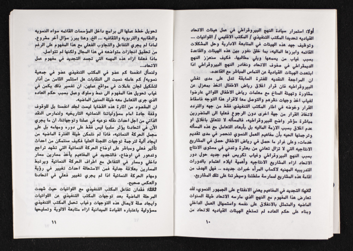 مداخلات دورة اللجنة العليا لاتحاد لجان العمل النسائي