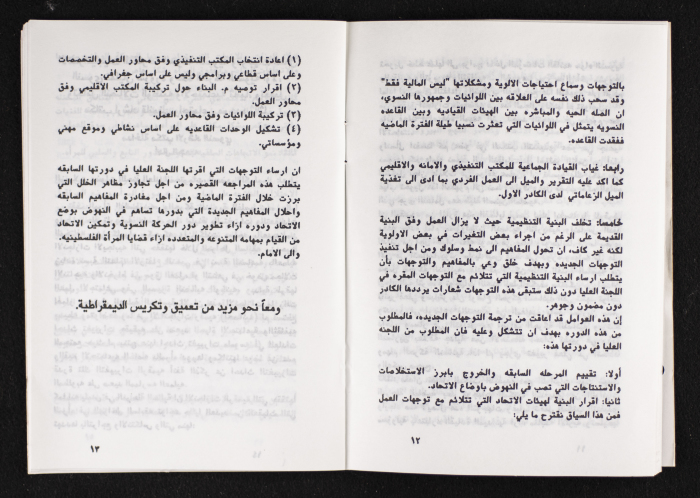 مداخلات دورة اللجنة العليا لاتحاد لجان العمل النسائي