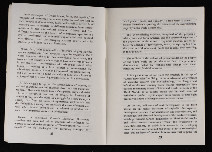 ورقة عمل اتحاد لجان العمل النسائي الفلسطيني لمؤتمر المرأة العالمي المنعقد في نيروبي، آذار 1986
