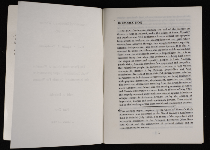 ورقة عمل اتحاد لجان العمل النسائي الفلسطيني لمؤتمر المرأة العالمي المنعقد في نيروبي، آذار 1986
