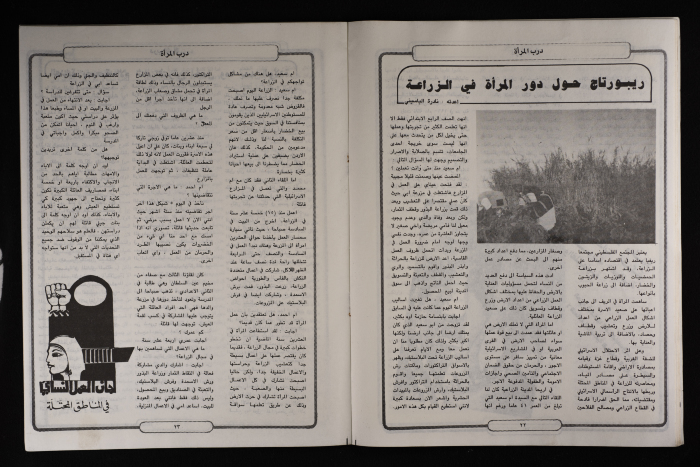 نشرة بعنوان 