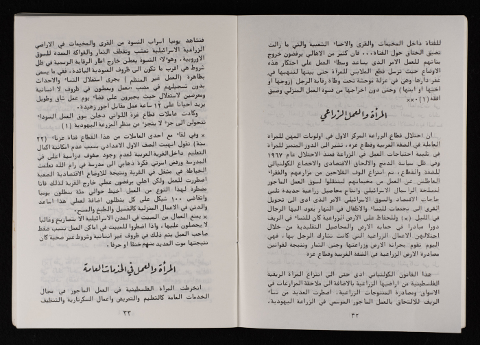ورقة عمل اتحاد لجان العمل النسائي الفلسطيني لمؤتمر المرأة العالمي المنعقد في نيروبي، آذار 1986
