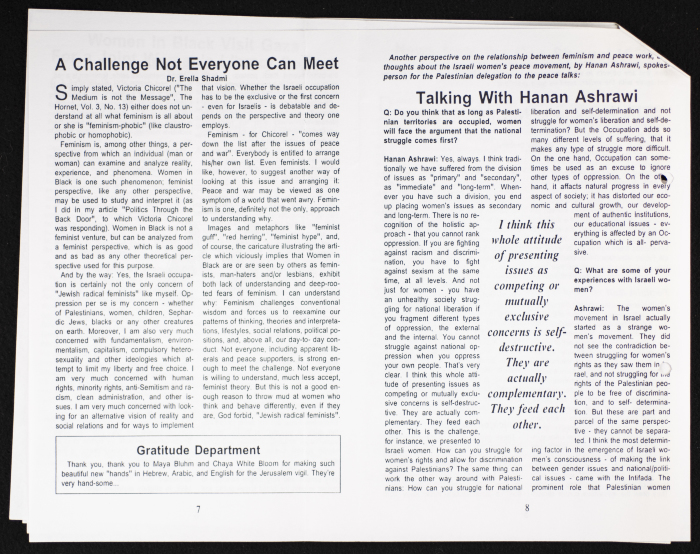 An Issue of the Israeli Magazine Women In Black