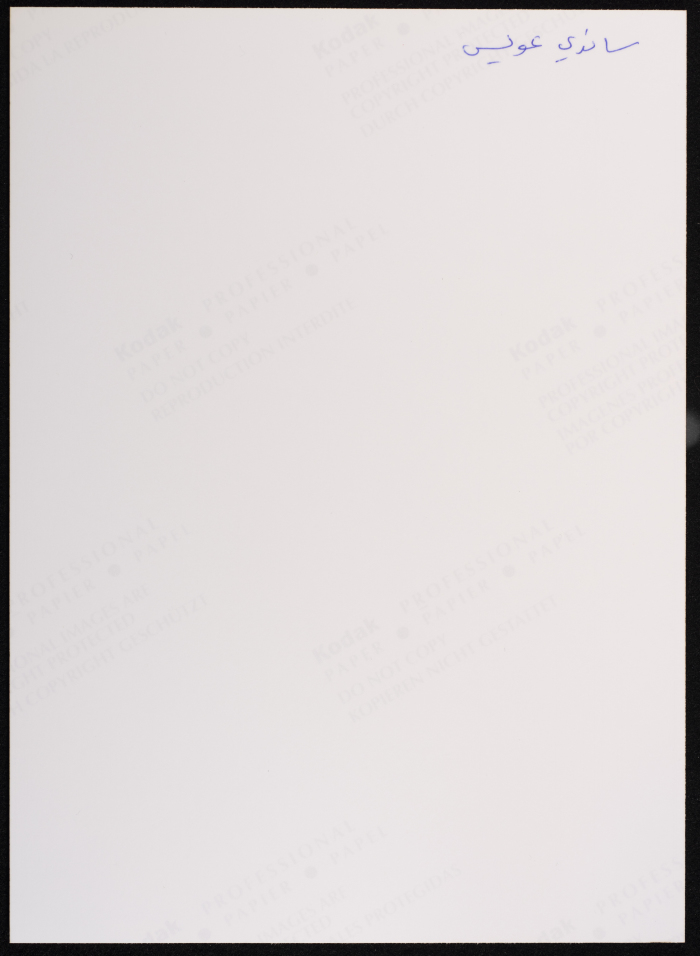 A Photograph of a Party After the 